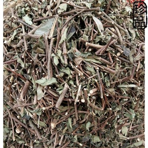 野生中草药五叶金花 玉叶金花 白纸扇,白头公 野白纸扇,山甘草
