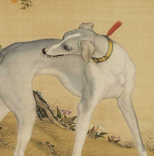 名画郎世宁十骏犬苍水虬高清微喷工笔狗绢布画稿清代宫廷动物画
