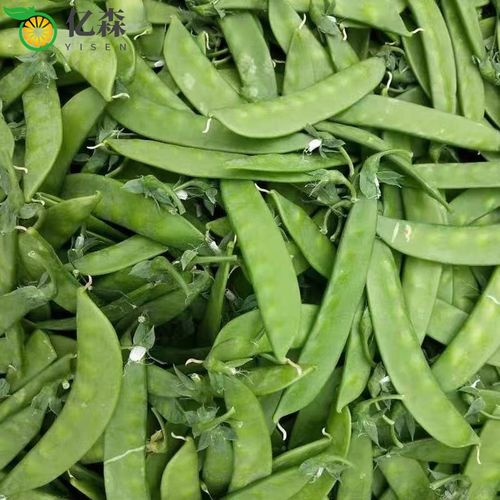 【现摘现发】荷兰豆新鲜蔬菜甜扁豆角云南农家自种脆嫩豌豆荚 5斤精品