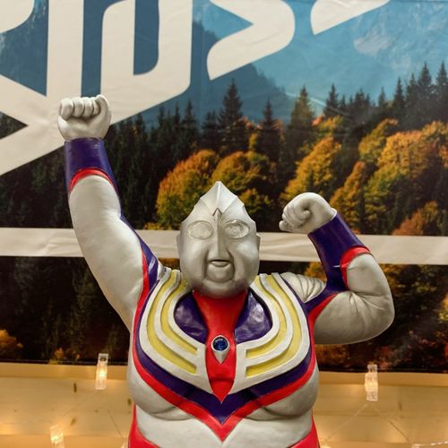 肥胖奥特曼胖迪迦自制毁童年肥宅登场款玩具收藏摆件 均码 帛利 均码