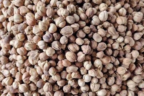 0/斤 【精品热销白蔻】好货白蔻白扣白豆蔻香辛料中药材大全按需配料