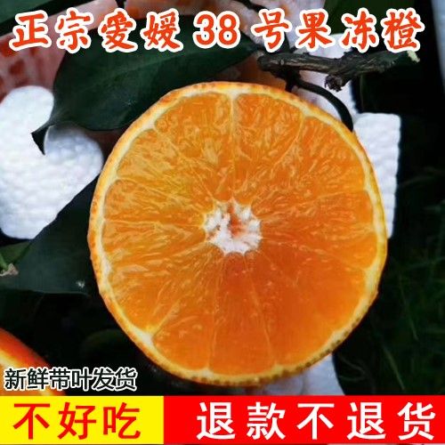 现摘四川爱媛38号果冻橙柑橘爱源爱园手剥掰橙子新当季鲜水果5斤