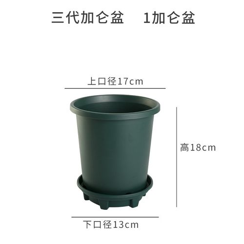 加伦塑料花盆加厚塑料花盆三代加仑盆透气控根绿萝多肉阳台家用种花