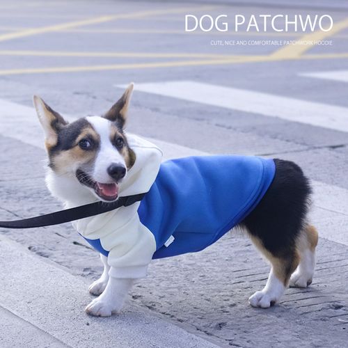 柯基专用衣服秋冬装小狗狗小型犬中型犬冬天宠物秋季网红潮流卫衣