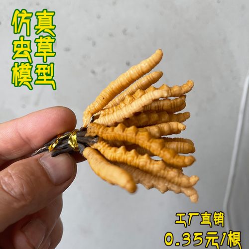 仿真假虫草模型冬虫夏草标本中药保健品展柜陈列摆设道具拍摄开票