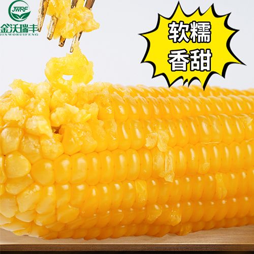 金沃瑞丰 甜糯黄玉米新鲜粘黏玉米棒真空装即食非转基因2根试吃