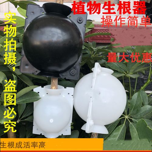 高压盒高空压枝盒植物高压繁殖盒高压盒繁殖盒高压生根繁殖球高压