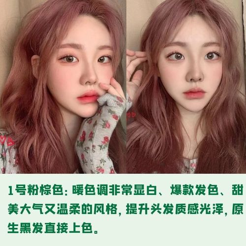 染发剂自己在家染头发的颜色植物亚麻色蓝黑色网红流行发色染发膏 1粉