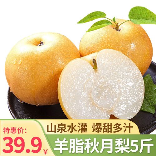 羊脂秋月梨新鲜现摘香梨梨子水果礼盒 单果6-8两 5斤家庭装