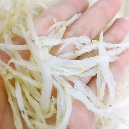 湛江本地新晒无盐白银鱼干 白色小鱼干 鱼干仔海鲜干货 送礼500克