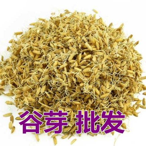 生谷芽 5斤包邮 生稻芽 谷芽 稻谷芽 谷牙 中药材 500g克