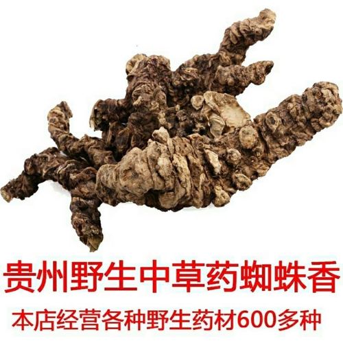 贵州野生蜘蛛香中草药材缬草马蹄香鬼见愁豆鼓菜根九转香雷公七