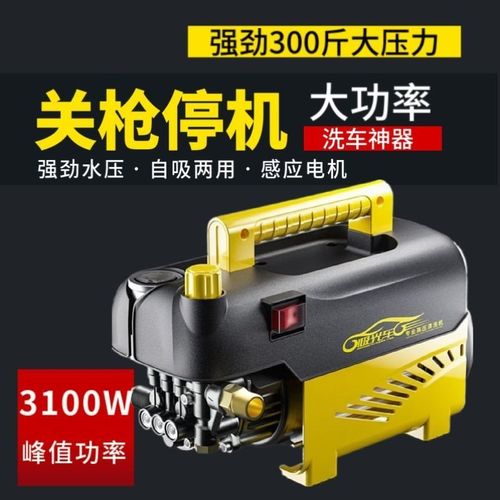 便携式家用小型洗车机220v高压水枪220v电动冲洗机手提浇花冲地