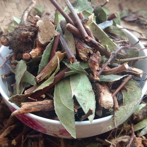 中药材 透骨香九木香 透骨草 满山香 正品包邮