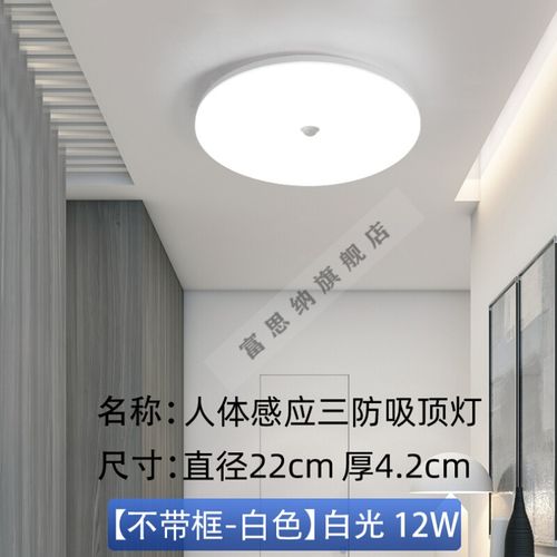 智能防尘防潮防蚊虫防水三防雷人体感应吸顶灯具楼道楼梯灯过道灯阳台