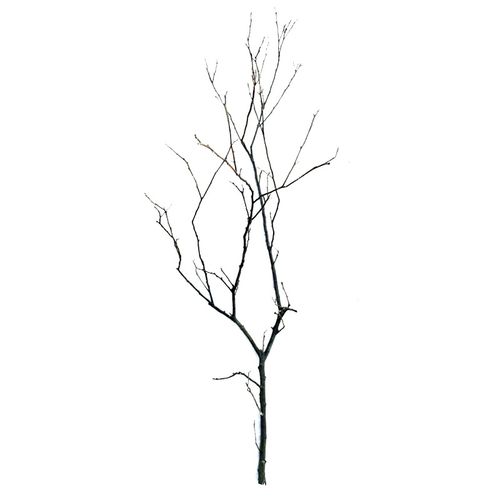 新品自然树枝干花中式台面文艺插花禅r意摆件创意装饰干枝饰品天