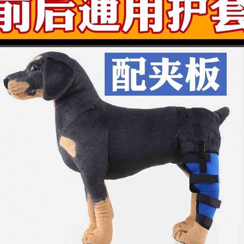 狗狗骨折夹板腿部固定矫正宠物后腿大腿骨x折关节错位绑带支x架护