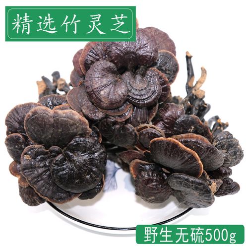 广西深山野生竹灵芝500g朱林芝整朵纯天然小长颈小红灵芝整枝煲汤