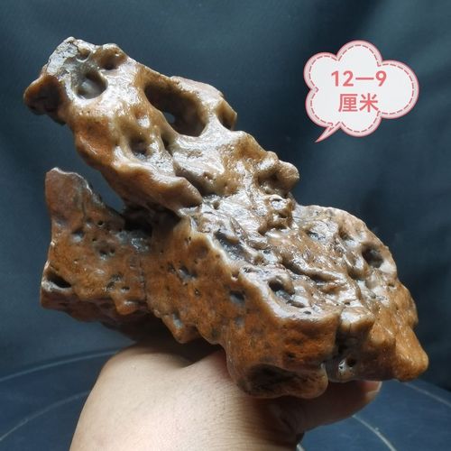 《鸟》精品阿拉善戈壁奇石非常漂亮珍贵收藏价值较高.