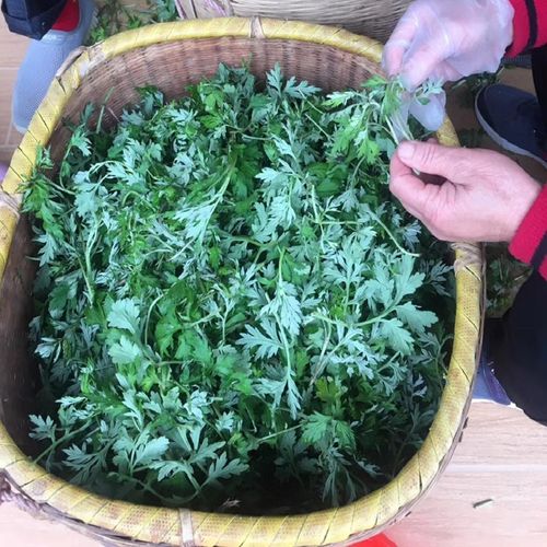 河源特产客家艾粄艾草糍粑青团龙川特产现做咸味甜味传统糕点 花生