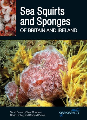 【预订】sea squirts and sea sponges of britain