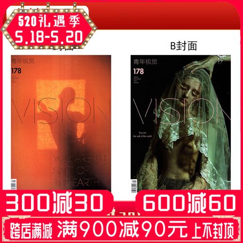 【包邮 多封面可选】vision青年视觉杂志2019年总第178期 艺术摄影