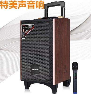 特美声a8-24蓝牙无线拉杆户外大功率广场舞音箱锂电池木质k歌音响