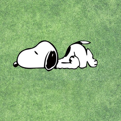 a款【趴着史努比】30*11cm一张