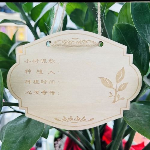 植树节挂牌标签吊牌幼儿园植物种植区牌木质认养认领名字卡10片装