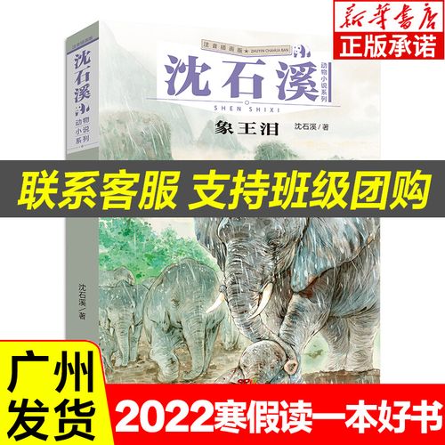 2022年寒假读一本好书 象王泪 沈石溪动物小说注音插画版 6-9-12岁小