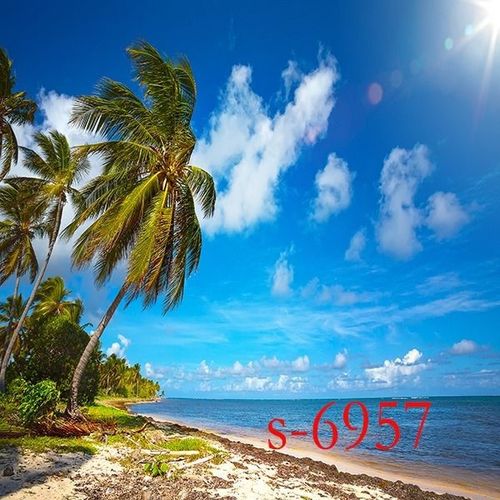 新品海景背景布直播背景墙女男主播背景布海边沙滩