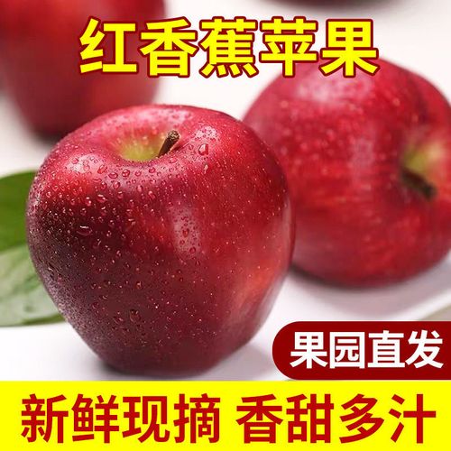 红香蕉苹果山西特产香甜红元帅整箱新鲜现摘水果批发老人宝宝辅食