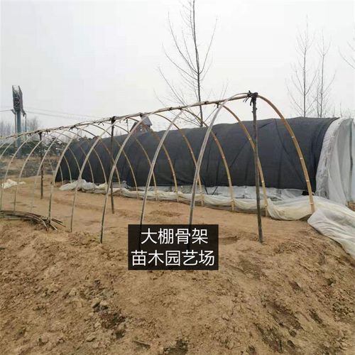h竹片竹条蔬菜大棚架子菜棚小拱棚竹坯j子毛竹片隔断骨架竹子条栅