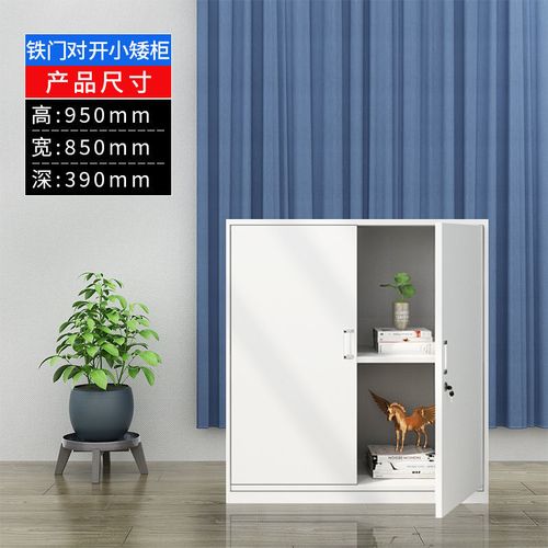 家用文件柜办公柜钢制铁皮柜资料柜档案柜带锁柜分五节单节储物柜 小