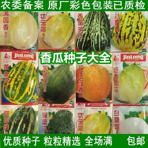 东北香瓜种子绿麻瓜种籽甜宝沙白瓜羊角蜜烧瓜香瓜种孑