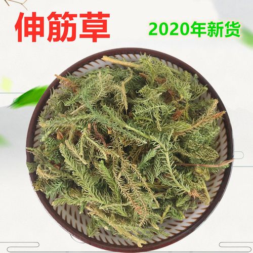 伸筋草 中药伸筋草 舒筋草 新货野生伸筋草泡茶泡酒100克500克