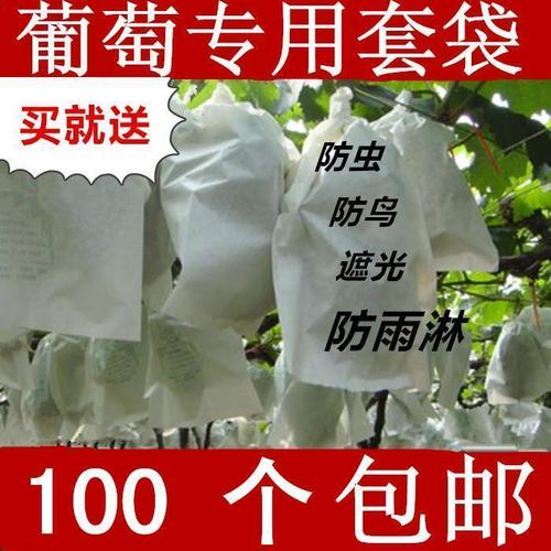 水果包装袋树上芒果袋套葡萄防虫袋苹果套袋专用绿色梨果树塑料袋【2