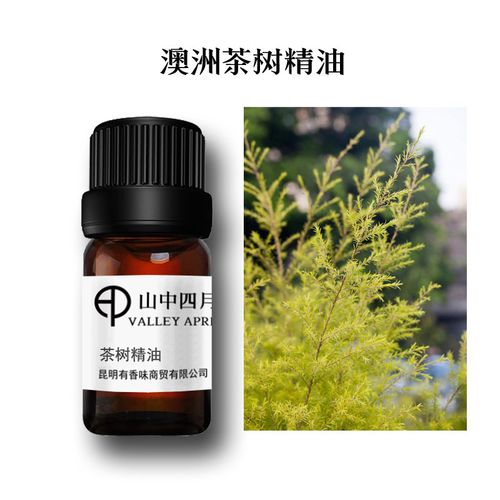 纯天然澳洲茶树单方精油 绿花白千层面部黑头痘痘控油修护抗菌5ml