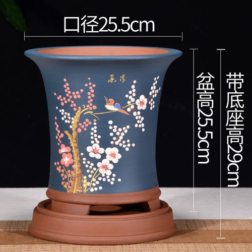 花盆特大号兰花专用盆室内植物花盆盆 蓝色  飘口点彩兰花盆大号价格