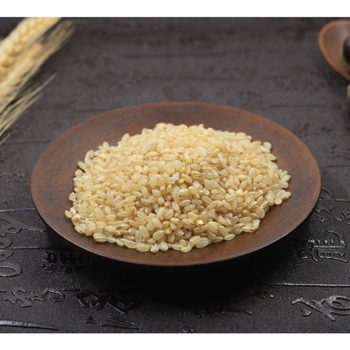 【优选】粳米中药材入药硬米更米实体500g 中药材 图片色