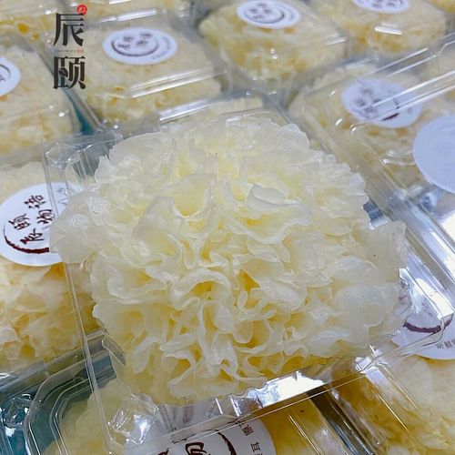 辰颐物语银耳福建古田鲜银耳新鲜白木耳现摘现发4朵包邮包售后