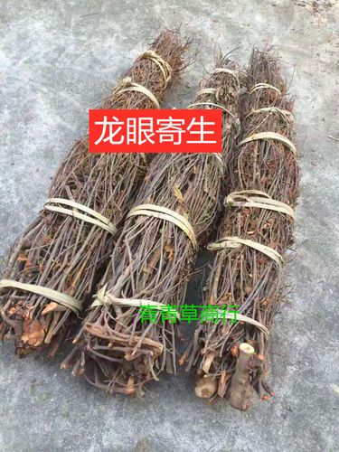 野生龙眼寄生 整颗青草药 包邮