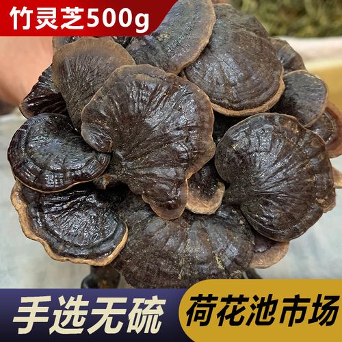 西藏竹灵芝纯野灵芝生 竹灵芝 灵芝王 红竹灵芝500g深山一斤