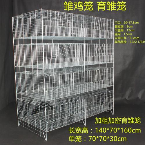 4米长雏鸡小鸡笼