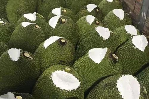 9/斤 红肉菠萝蜜