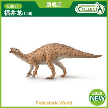 英国collecta我你他史前侏罗纪恐龙模型玩具88871福井龙2020新款 1:40