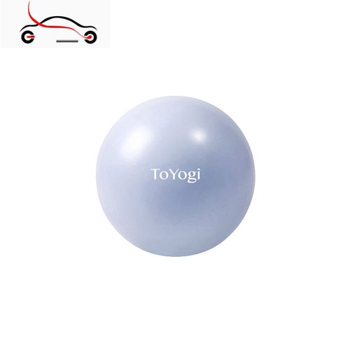 真智力迷你瑞士球 瑜伽球健身普拉提平衡小球塑形体操女健身球
