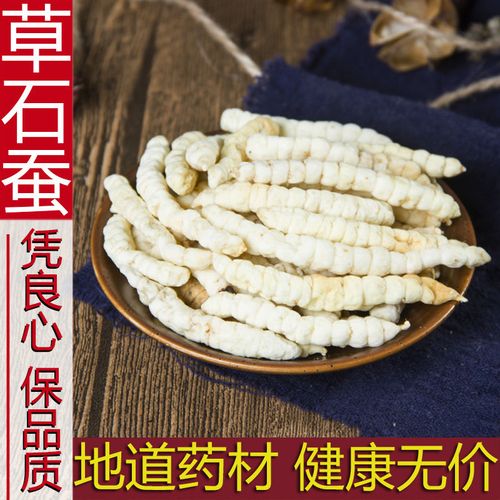 中药材草石蚕 泽兰根 地蚕 土冬虫草白冬虫草白虫草