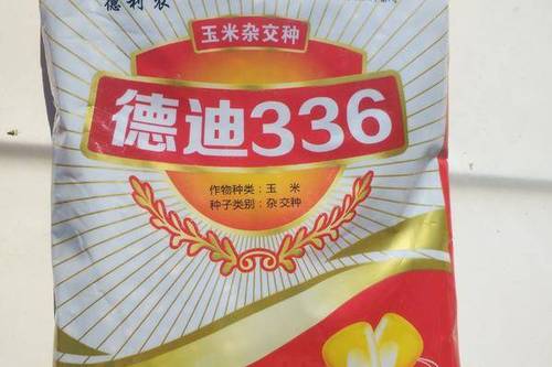 0/袋  德迪336玉米种