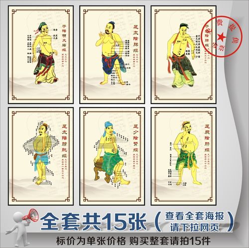 中医文化海报 十五经络图宣传挂画 传统医疗医学养生